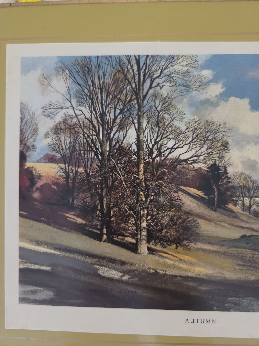 Rustic Landscape Image - Picture 2 of 7